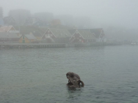 <h5>Nuuk</h5><p>Minik Hansen har taget dette smukke billede af skulpturen "Havets Moder" ved Kolonihavnen i Nuuk. Copyright Minik Hansenansen har taget dette smukke stykke kultur ved Kolonihavnen i Nuuk. Copyright Minik Hansen</p>