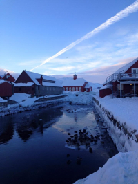 <h5>Qaqortoq</h5><p>Nuka Korsgaard har taget dette smukke billede fra byen. Copyright Nuka Korsgaard</p>