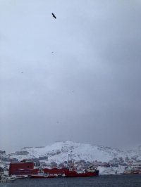 <h5>Qaqortoq</h5><p>Nuka Korsgaard har taget dette smukke billede fra byen. Copyright Nuka Korsgaard</p>