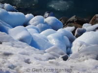 <h5>Qaqortoq</h5><p>Dette smukke billede er taget af Gert Otto Hansen. © Gert Otto Hansen</p>