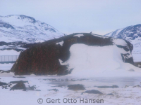 <h5>Qaqortoq</h5><p>© Gert Otto Hansen. Gert  Otto Hansen har taget dette smukke billede i Qaqortoq</p>
