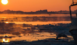<h5>Ilulissat</h5><p>Augo Jansen har taget dette billede fra smukke Ilulissat. © Augo Jansen</p>