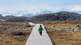 <h5>Ilulissat</h5><p>© Hervé Danis. Picture from Ilulissat. A young worldexplorer.</p>