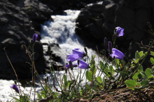 <h5>Tasiilaq</h5><p>© Helene Brochmann har taget dette smukke billede i Tasiilaq.</p>