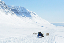 <h5>Greenland - land of beauty 2017</h5><p>Billede nr. 38: ©Saalamiit Møller Lorentzen har taget dette billede.</p>