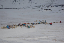 <h5>Greenland - land of beauty 2017</h5><p>Billede nr. 40: ©Saalamiit Møller Lorentzen har taget dette billede.</p>