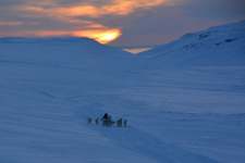 <h5>Greenland - land of beauty 2017</h5><p>Billede nr. 41: ©Saalamiit Møller Lorentzen har taget dette billede.</p>
