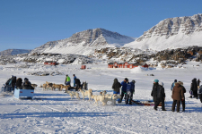 <h5>Greenland - land of beauty 2016</h5><p>Billede nr. 52: © Thala Geraae-Nielsen.  eqertarsuarmi Avannaata Qimussersuanut anngunniuttut. </p>