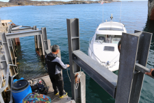<h5>Qasimiut</h5>