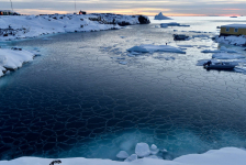<h5>Qeqertarsuaq</h5><p>© Klaus Eugenies har taget dette billede i Qeqertarsuaq.</p>